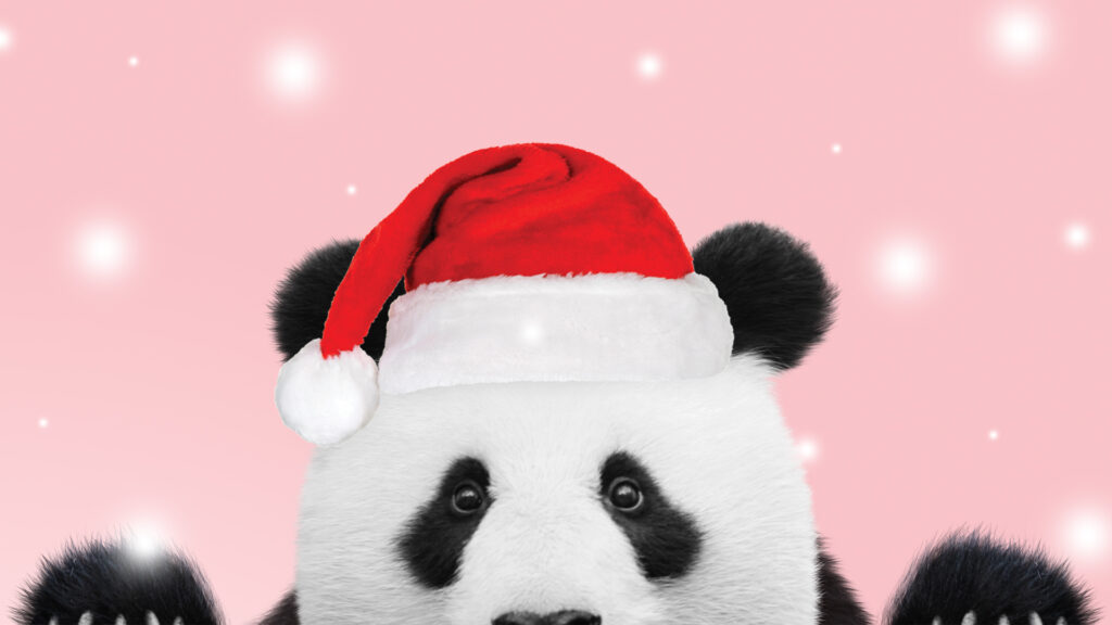 Panda_etusivu_joulu_v3